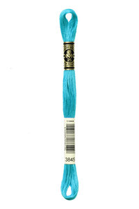DMC Mouline 3845