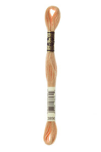DMC Mouline 3856