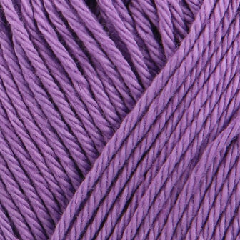 SMC Catania 301 hyacinth