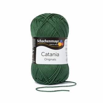SMC Catania 419 Dennenboom