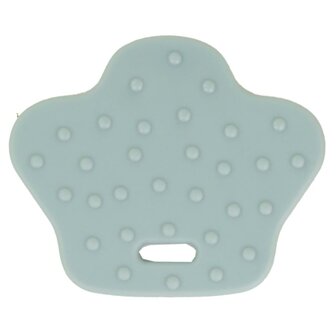 Bijtring Dierenpoot 257