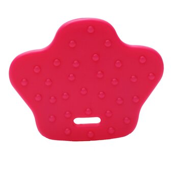 Bijtring Dierenpoot 786