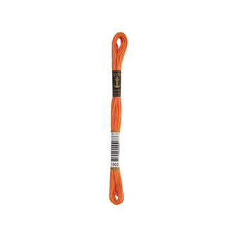 Anchor Borduurzijde nr. 1003