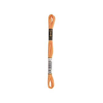 Anchor Borduurzijde nr. 1047