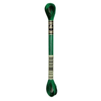 DMC 317W Moulin&eacute; metalisse borduurgaren 6 draads 8 meter - Kleur E699