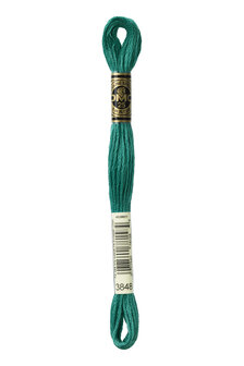 DMC Mouline 3848