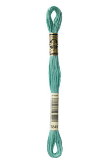 DMC Mouline 3849