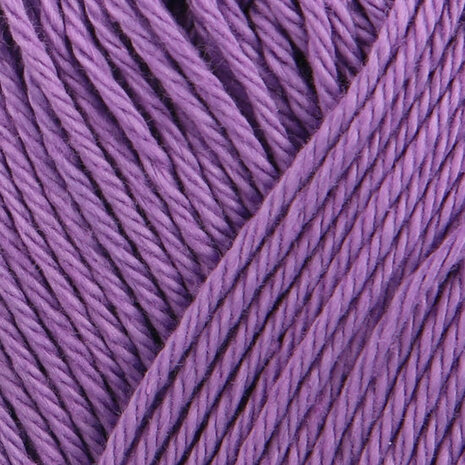 SMC Catania 301 hyacinth