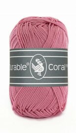 Coral Mini 228 Raspberry